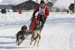 Lenk 2012 SM